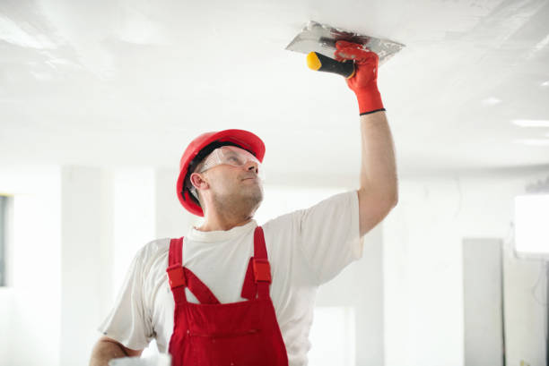 Best Water-Damaged Drywall Repair  in Crossville, TN